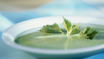 Späda nässelblad blir en fantastisk god och nyttig soppa! Foto: Shutterstock/TT En tallrik med grön nässelsoppa och några nässlor på toppen.