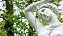 En vit staty av gudinnan Diana i närbild framför grönt buskage.