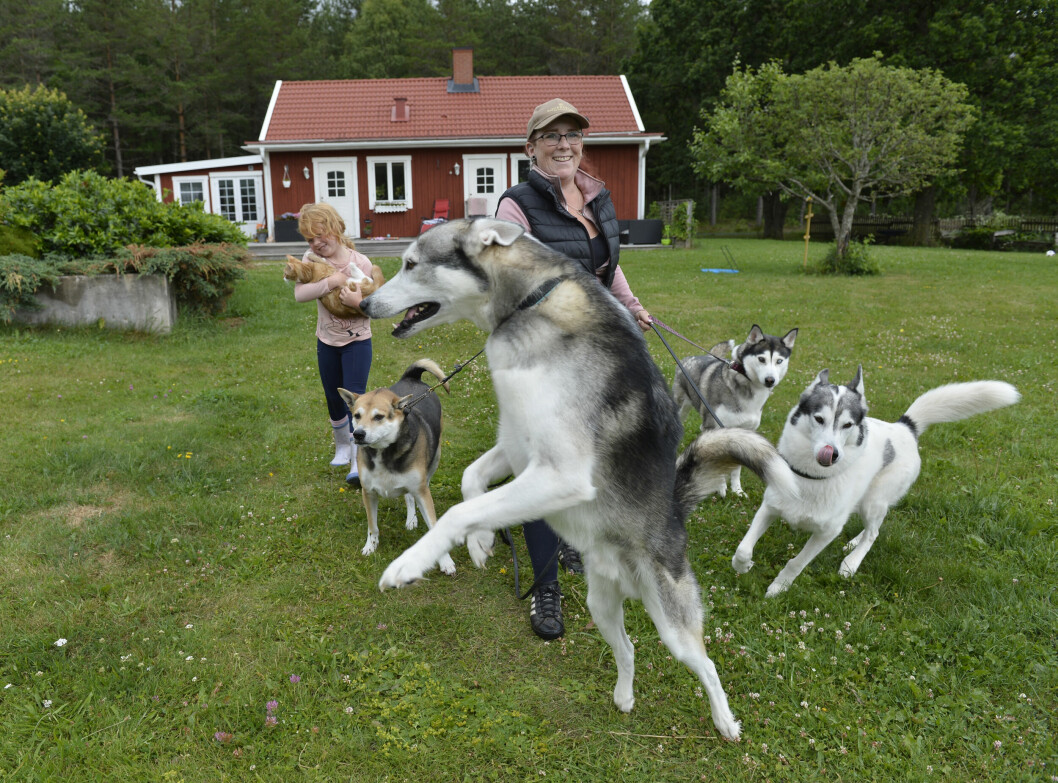 Erika och Eden står med fyra hundar framför sig som hoppar.