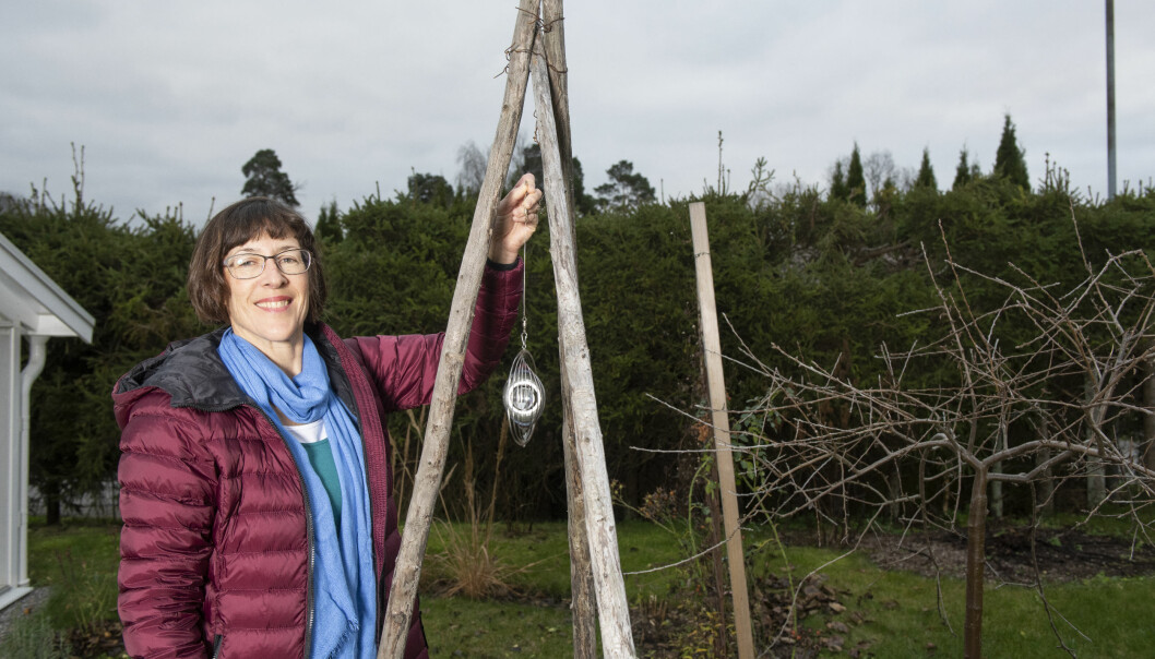Eva försöker distrahera sig och lätta sorgen en liten stund genom att till exempel fixa i trädgården och promenera. Eva försöker lätta sorgen en stund genom att fixa i trädgården.