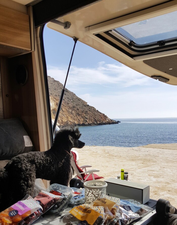 Eva åker inte helt ensam på sina turer. Hunden Tom hänger med. Eva har stannat till vid havet, fält upp bakdörren, dukat fram fika på bordet och hunden Tom spanar på utsikten.
