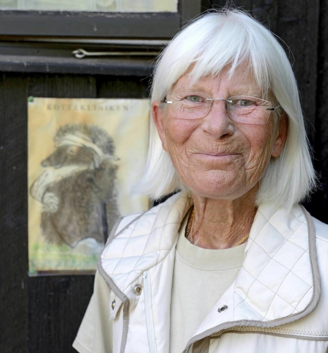 Porträtt av Eva som räddar igelkottar på Kottekliniken