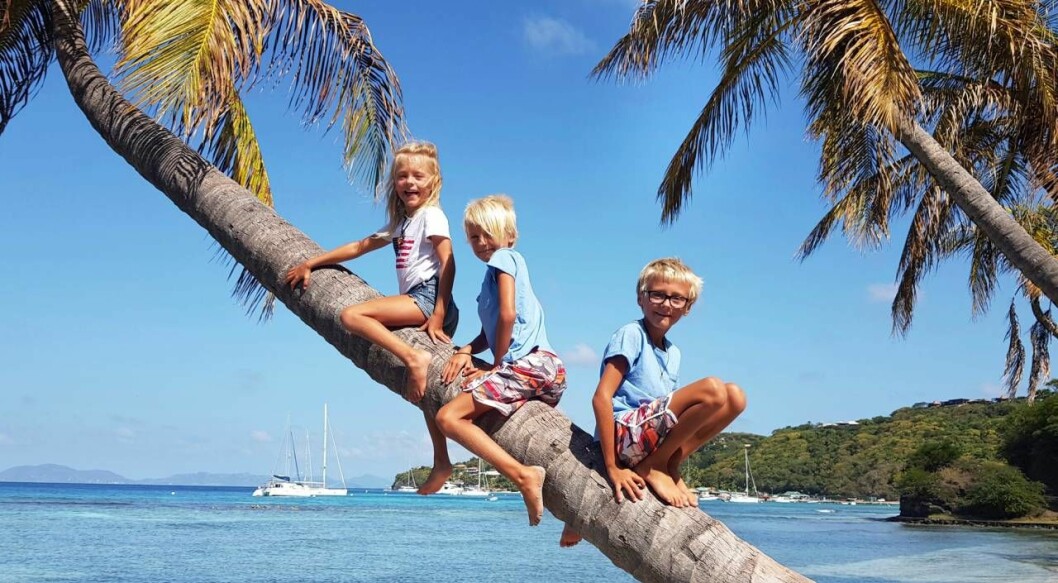 Underbar strand på ön Mustique. Wilma, Maximilian och Lucas njuter. Foto: privat Wilma, Maximilian och Lucas på ön Mustique.