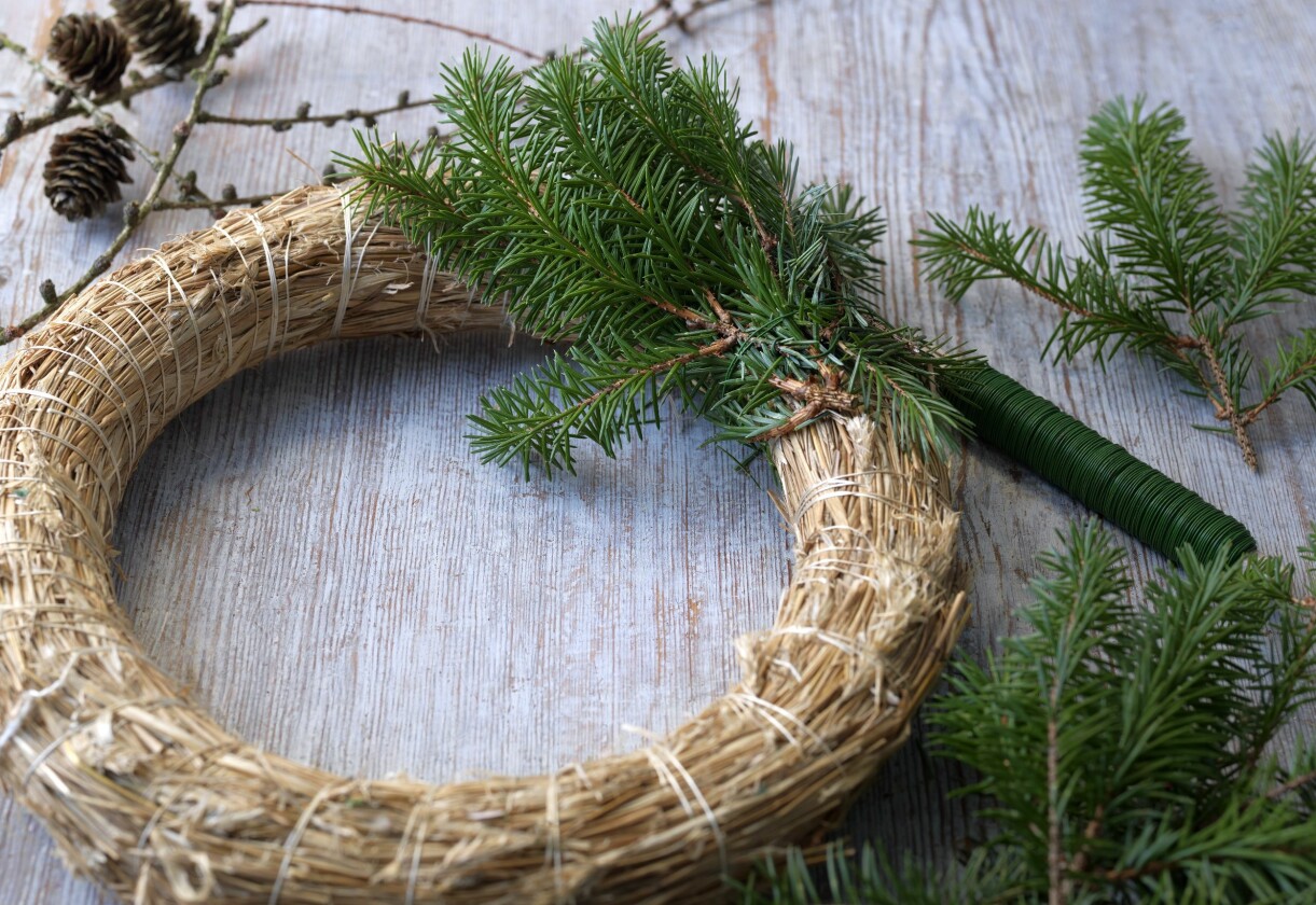 Fäst buketter med granris runt adventskransen. Fäst buketter med granris runt adventskransen.
