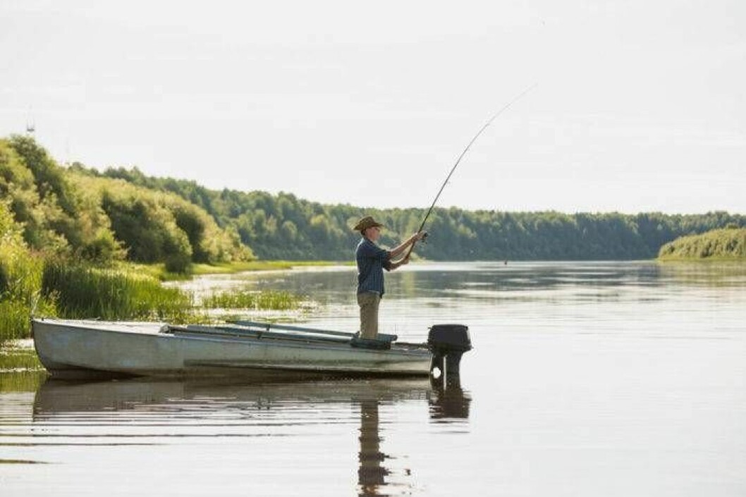 Fiska från båt. Bild: IBL Bildbyrån