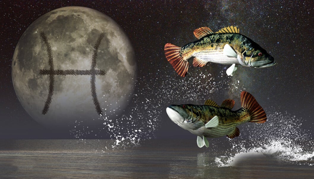 En illustration av stjärntecknet fiskarna med en himlakropp med tecknet för fiskarna i bakgrunden.