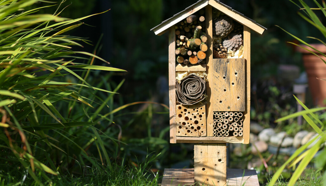En fjärilsholk blir ett fint och uppskattat insektshotell i trädgården eller på balkongen. En holk för insekter och fjärilar.