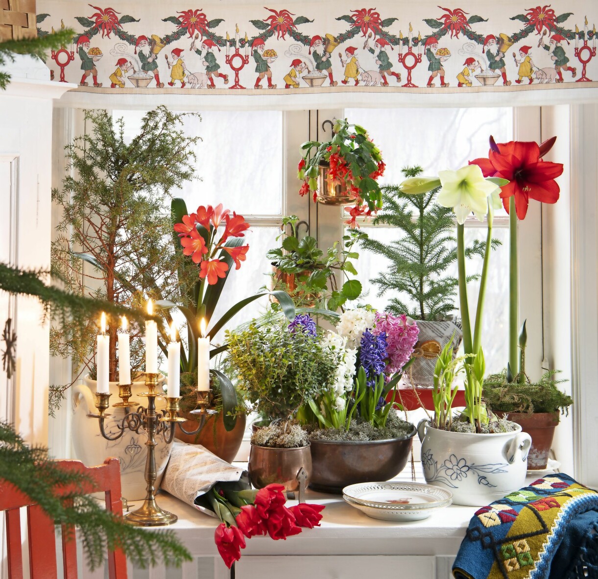 Fönster med flera olika klassiska julblommor.