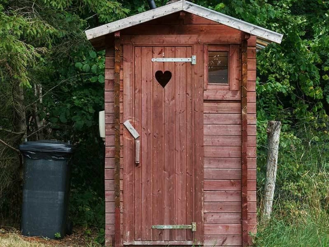 Försök få ordning på bajsrutinerna. Att krysta hårt innebär en stor belastning för underlivets vävnader. Foto: IBL Ett utedass