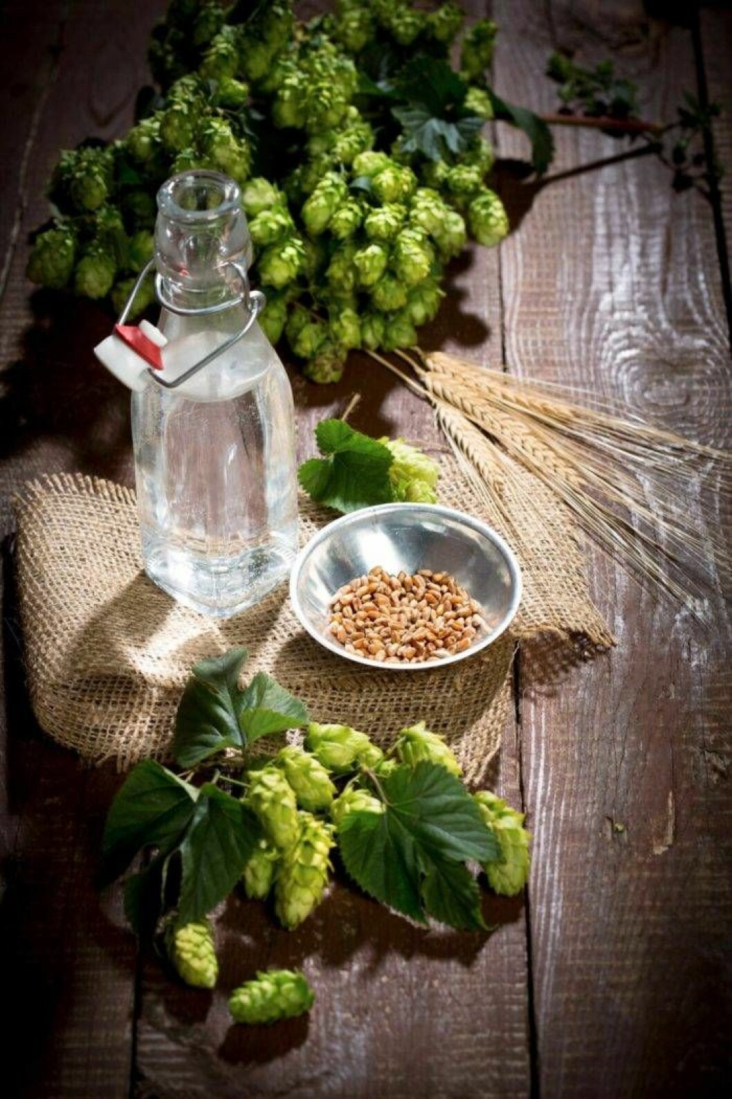 Det finns färdiga ölsatser att köpa för den som vill brygga sitt eget öl. I grunden behövs fyra ingredienser: vatten, korn, malt och humle. Foto: IBL/Shutterstock Fyra basingredienserna i öl: Vatten, korn, malt och humle.