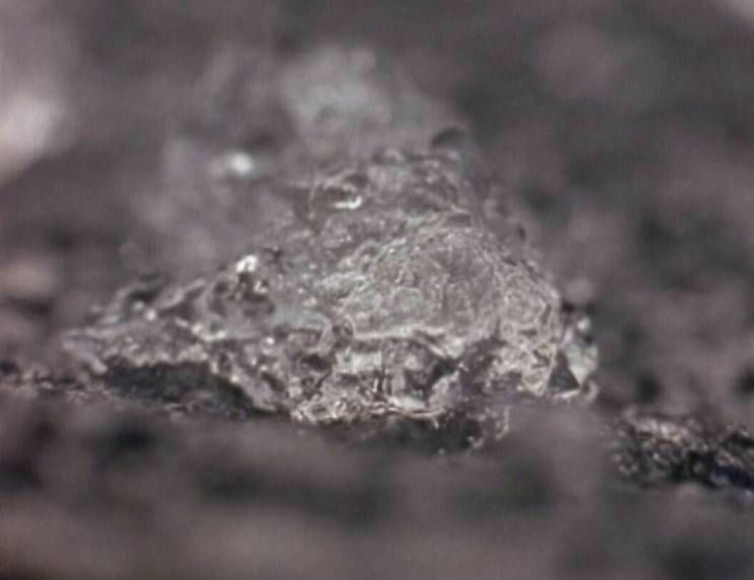 Det finns många teorier om vad geléklumparna som regnade från himlen egentligen innehöll. Närbild som illustrerar geléregnet i Oakville