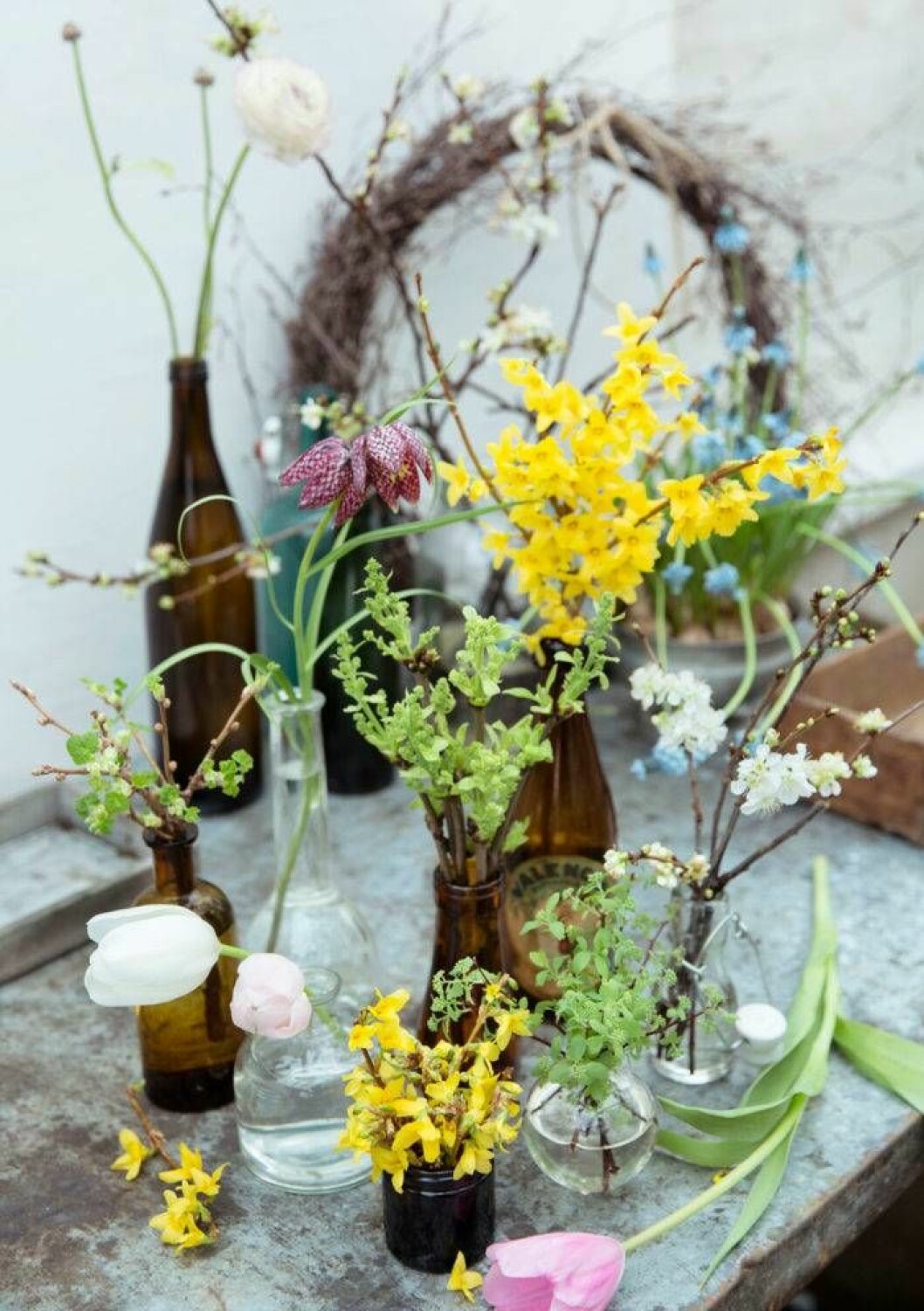 Till vänster syns kvist ar av svarta vinbär, det gröna i mitten är syren och det gröna till höger spirea. Den gula forsythian och de vita körsbärsblommorna går inte att ta fel på. Foto: Karin Wildheim genvag-till-varen-driv-fram-kvistar-till-ljuvlig-blom-och-gronska
