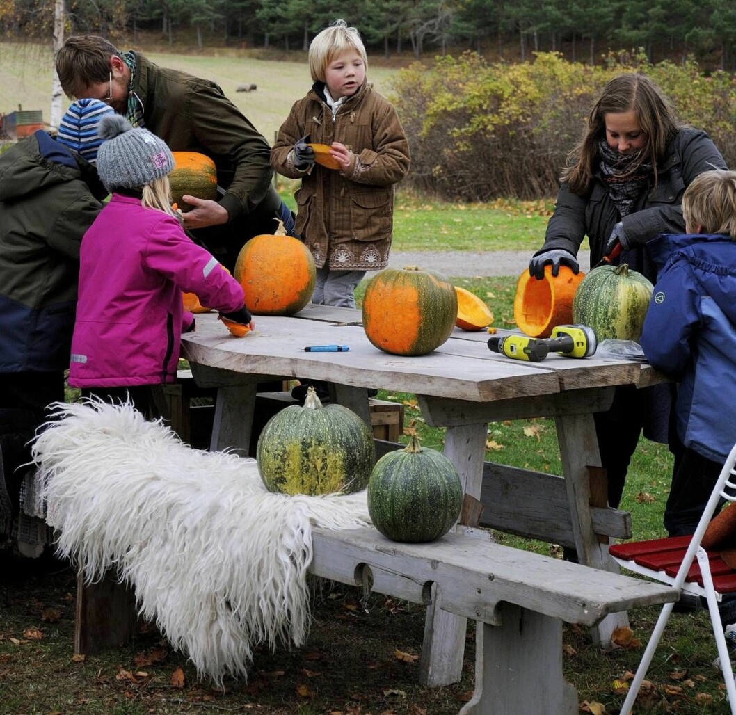 Det är spännande att göra fina pumpor tillsammans. Och ännu roligare att se dem lysa i mörkret! Människor sitter tillsammans och gör fina höstlyktor av pumpor