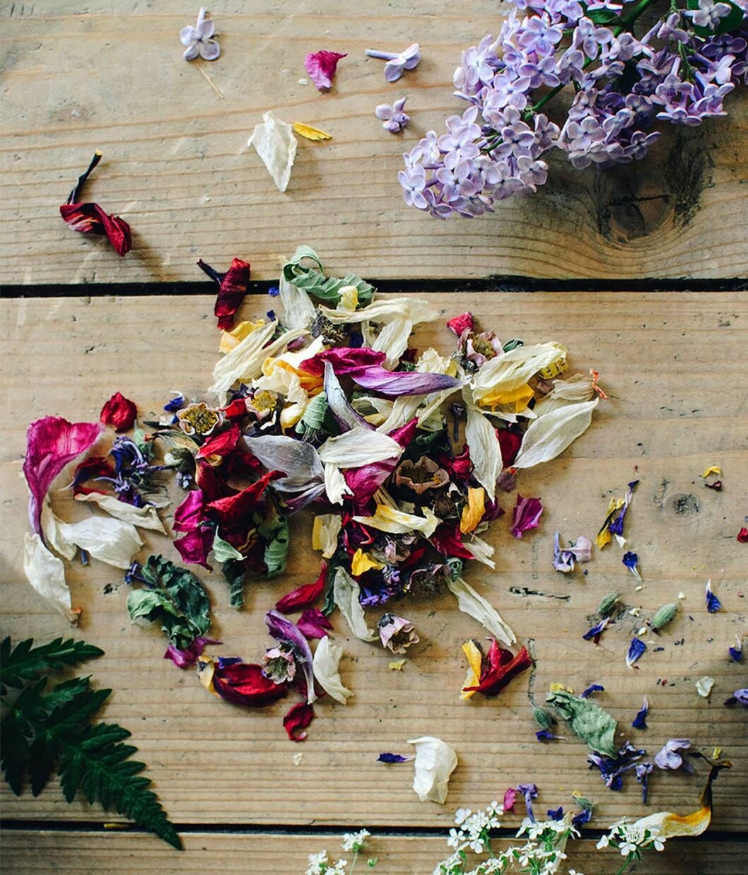 Är det fel säsong för att plocka blommor – fråga närmsta florist om det finns några sloka snittblommor över som ändå ska slängas. Foto: <a href="http://lovelylife.se/plathuset/2018/05/25/diy-blomsterkonfetti/?fbclid=IwAR3IQ9Ejf6vgFaepeRcXhspG9teCvbAbBwPWTFwsAinOrxqFKy_ELx7lKPc">Lovely Life.</a> Konfetti av torkade blommor