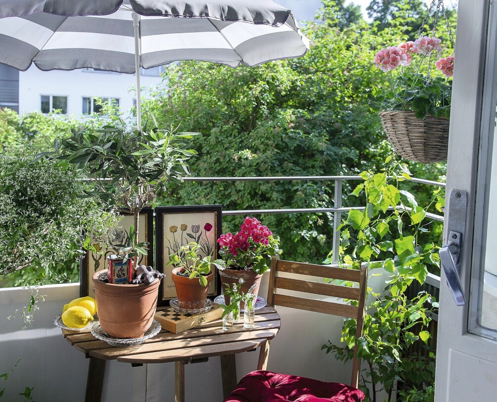 Ida får plats med mycket plantor på sin lilla balkong.