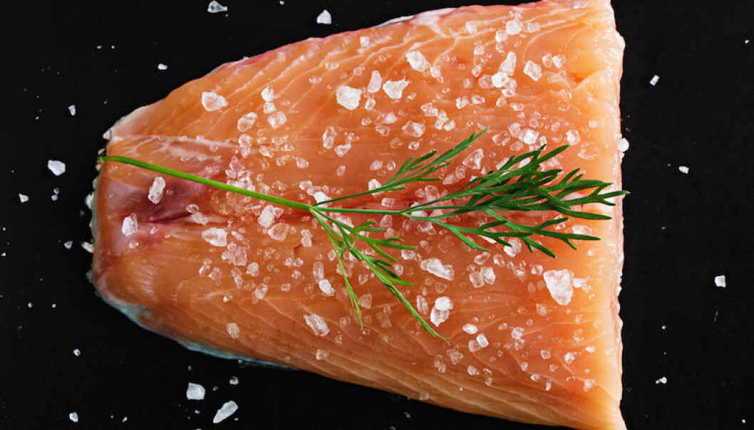 Kan gravad lax frysas in? | Allas