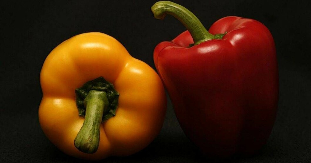 Den gula paprikan är nyttigare än både den gröna och röda. Gul paprika är nyttigare än både röd och grön.