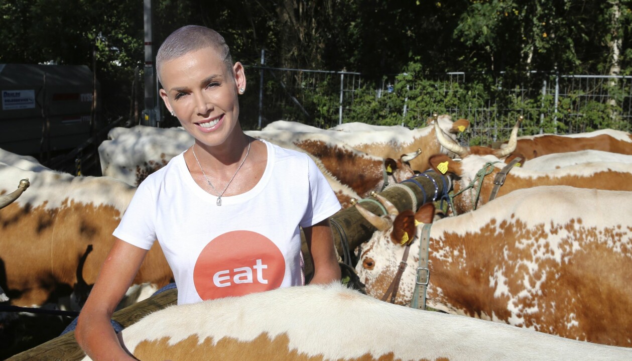 Medan Gunhild låg på sjukhus drömde hon om att få klappa kor. Gunhild Stordalen mitt bland en flock kor.