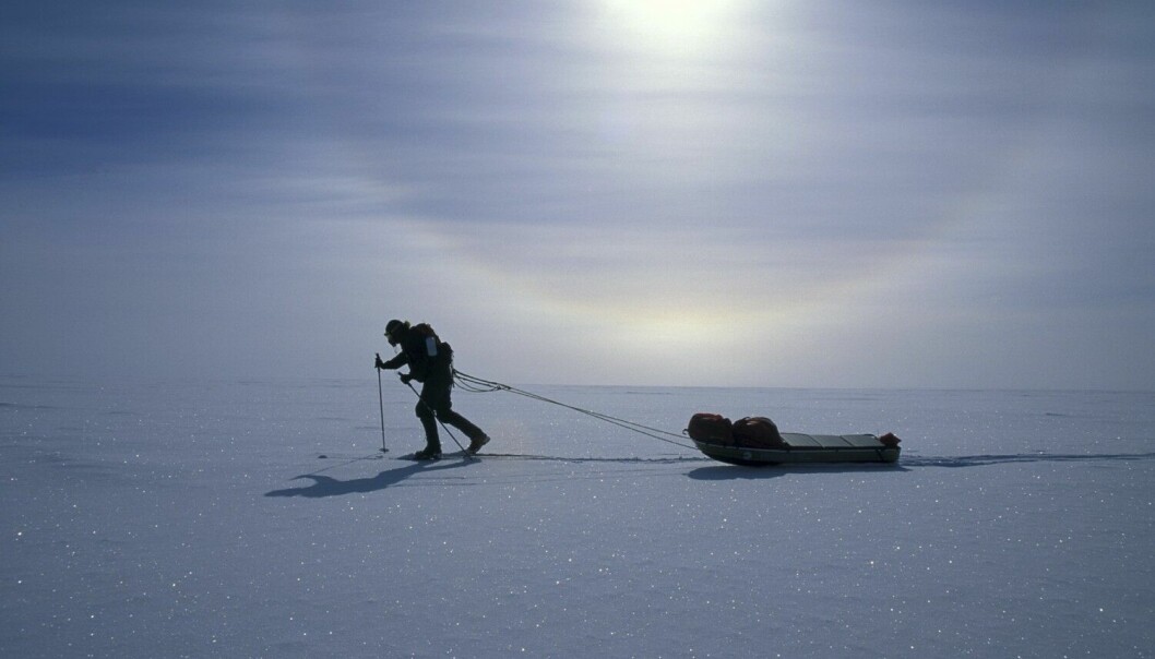 Genom åren har Tina och Tom gjort flera expeditioner världen över, bland annat till Syd- och Nordpolen. Tina och Tom har varit på många äventyr, bland annat på Syd- och Nordpolen.