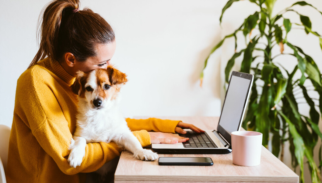 fördelar med att ha hund – för hälsan