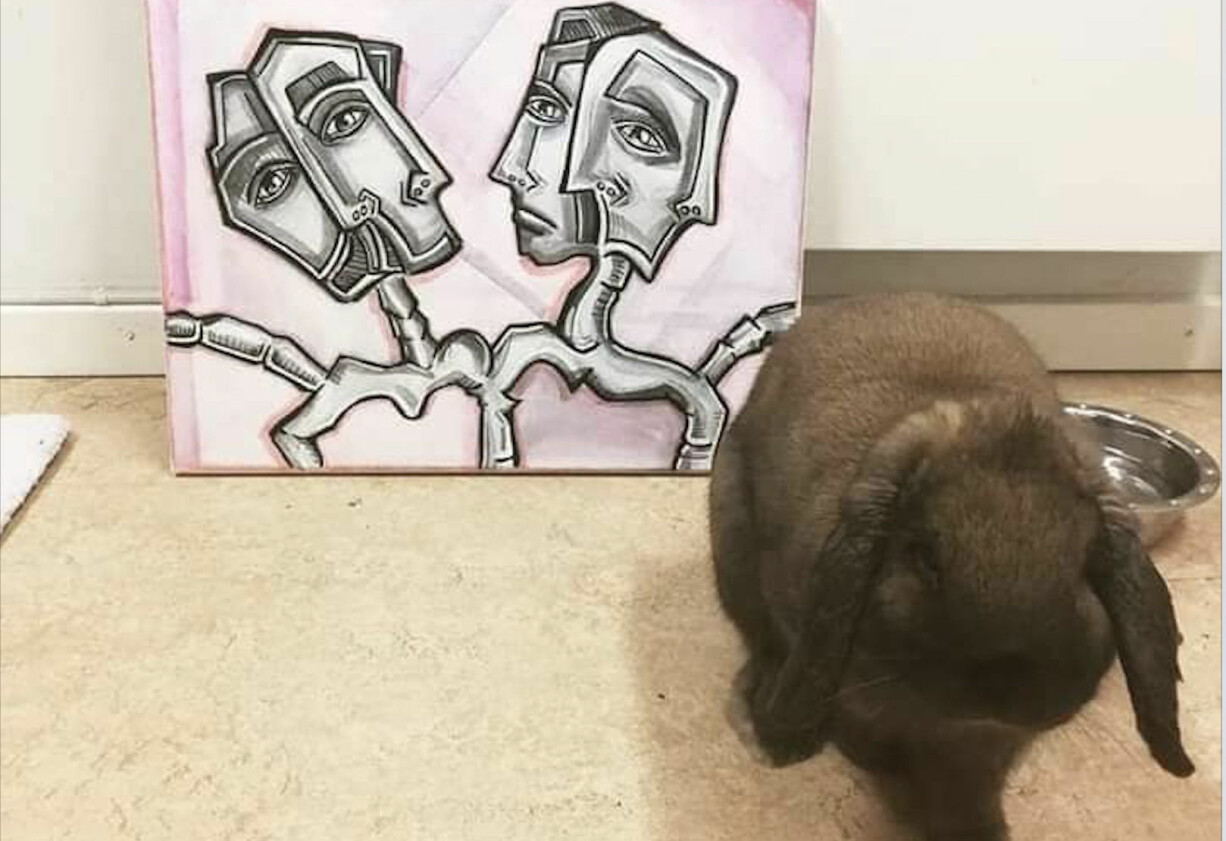 Hannas älskade kanin Ester bor nu tillsammans med nya kaninkompisen Picasso hemma i Växjö. Hannas älskade bruna kanin Ester som räddade hennes liv.