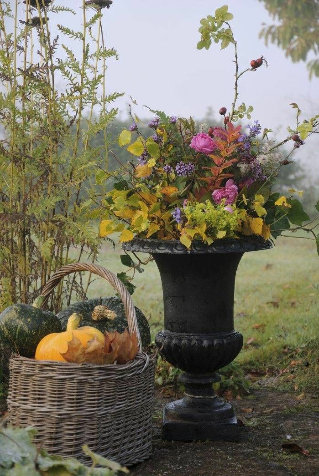 Härlig bukett med rosor, jätteverbena, daggkåpa, stjärnflocka, nepeta, murgröna, höstlöv och nyponkvistar. Foto: Ellen Forsström Härlig bukett med rosor, jätteverbena, daggkåpa, stjärnflocka, nepeta, murgröna, höstlöv och nyponkvistar.
