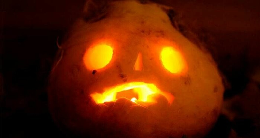 Jack’o’lantern – pumpagubbens föregångare.