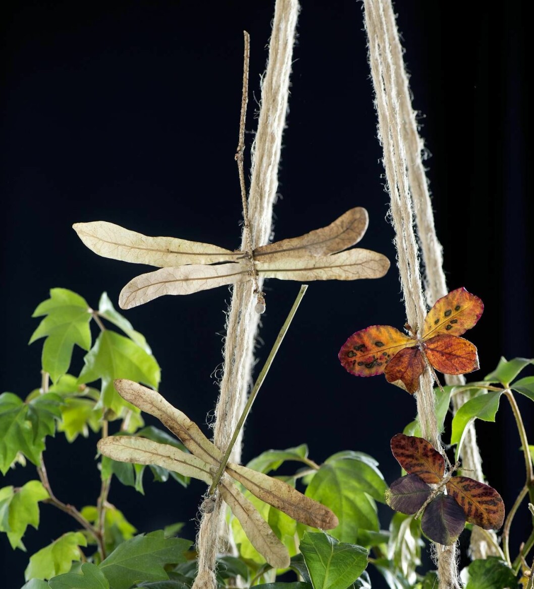 Fjärilar och sländor – skapade av torkade blad. Fjärilar och sländor - skapade av torkade blad.