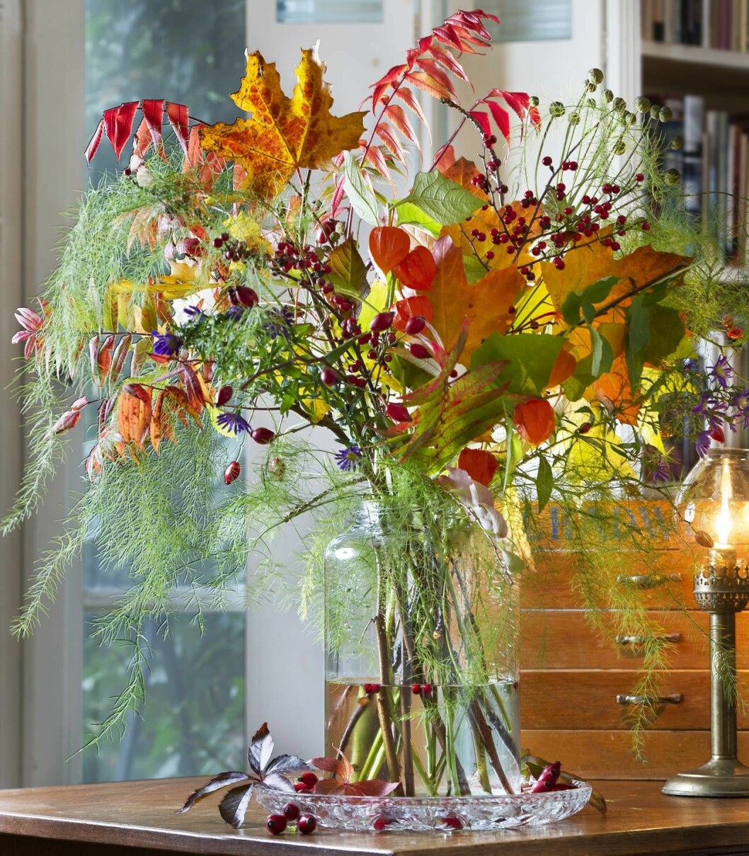 Fixa årets vackraste och mest generösa bukett av skogens bladverk och trädgårdens sista blommor och bär. Här samsas höstaster, japanska lyktor och överblommade höstanemoner med nypon, lönn, cotoneaster, sparris och rönnbär. Byt ut kvistarna efterhand som de vissnar så håller buketten länge. Vacker bukett med höstaster, japanska lyktor och överblommade höstanemoner med nypon, lönn, cotoneaster, sparris och rönnbär.