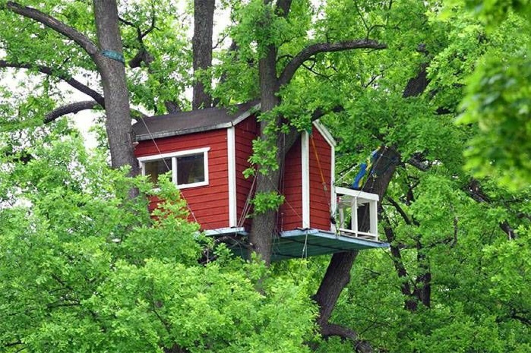 hotell-hackspett