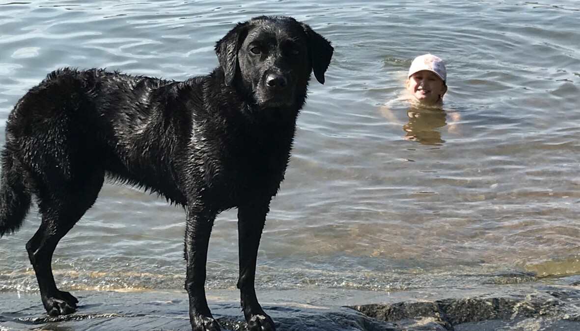 Hund och flicka som badar