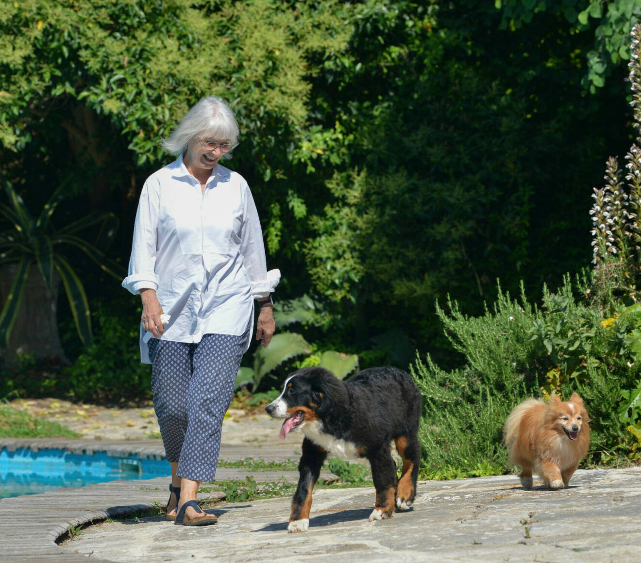 Barbro Guaccero promenerar med två av sina hundar intill en pool i sin trädgård i Italien.