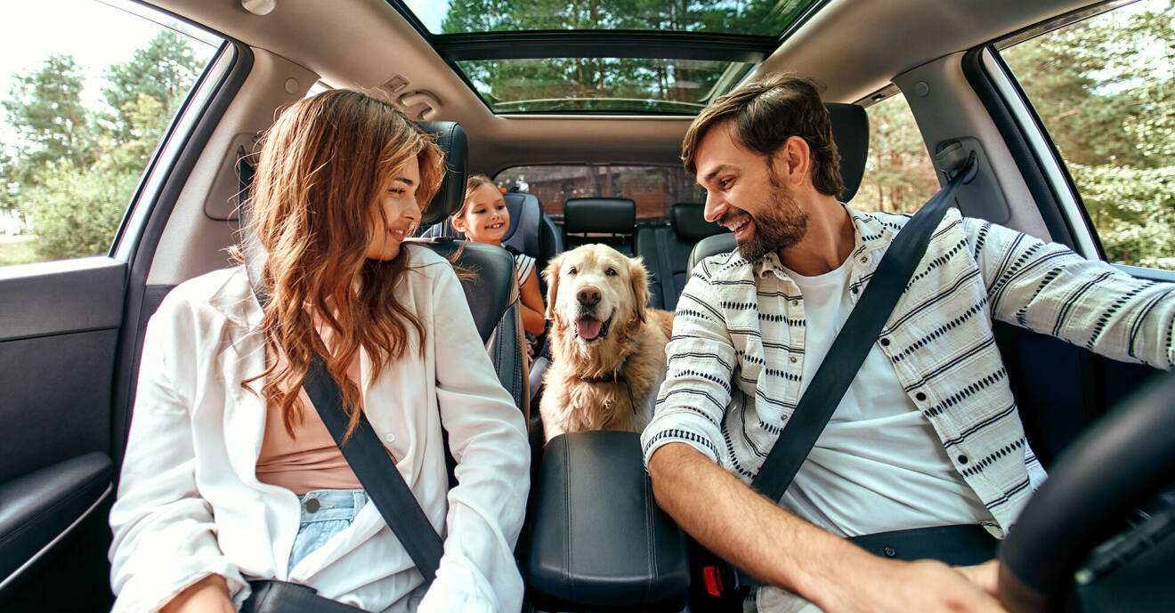 En familj och hund sitter i bilen
