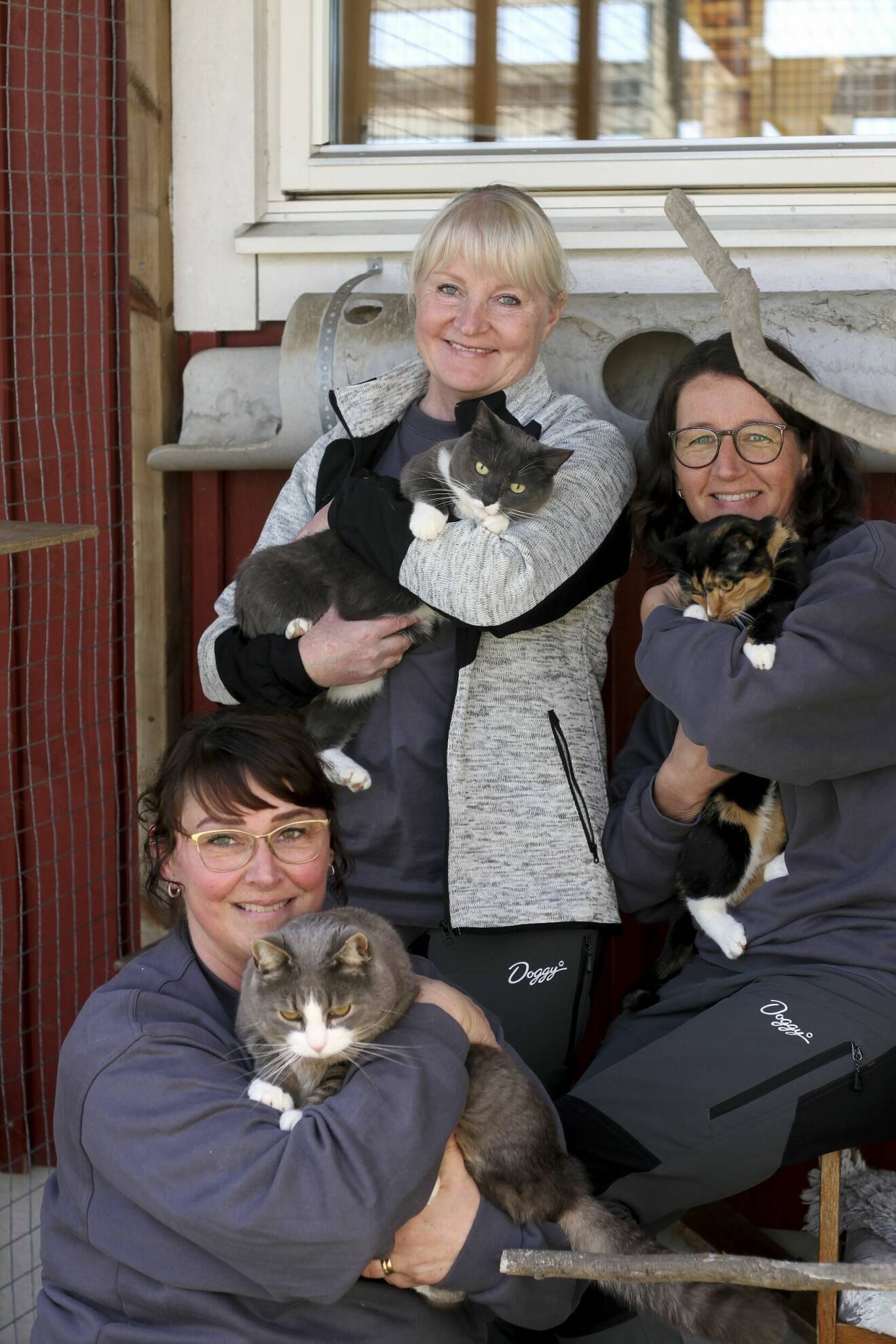 Tre kvinnor håller i en varsin katt.