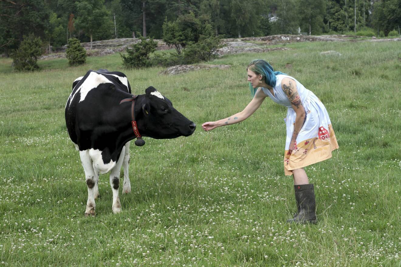 Emilia Astrenius hälsar på en ko i en hage. Emilia bär klänning och gummistövlar.