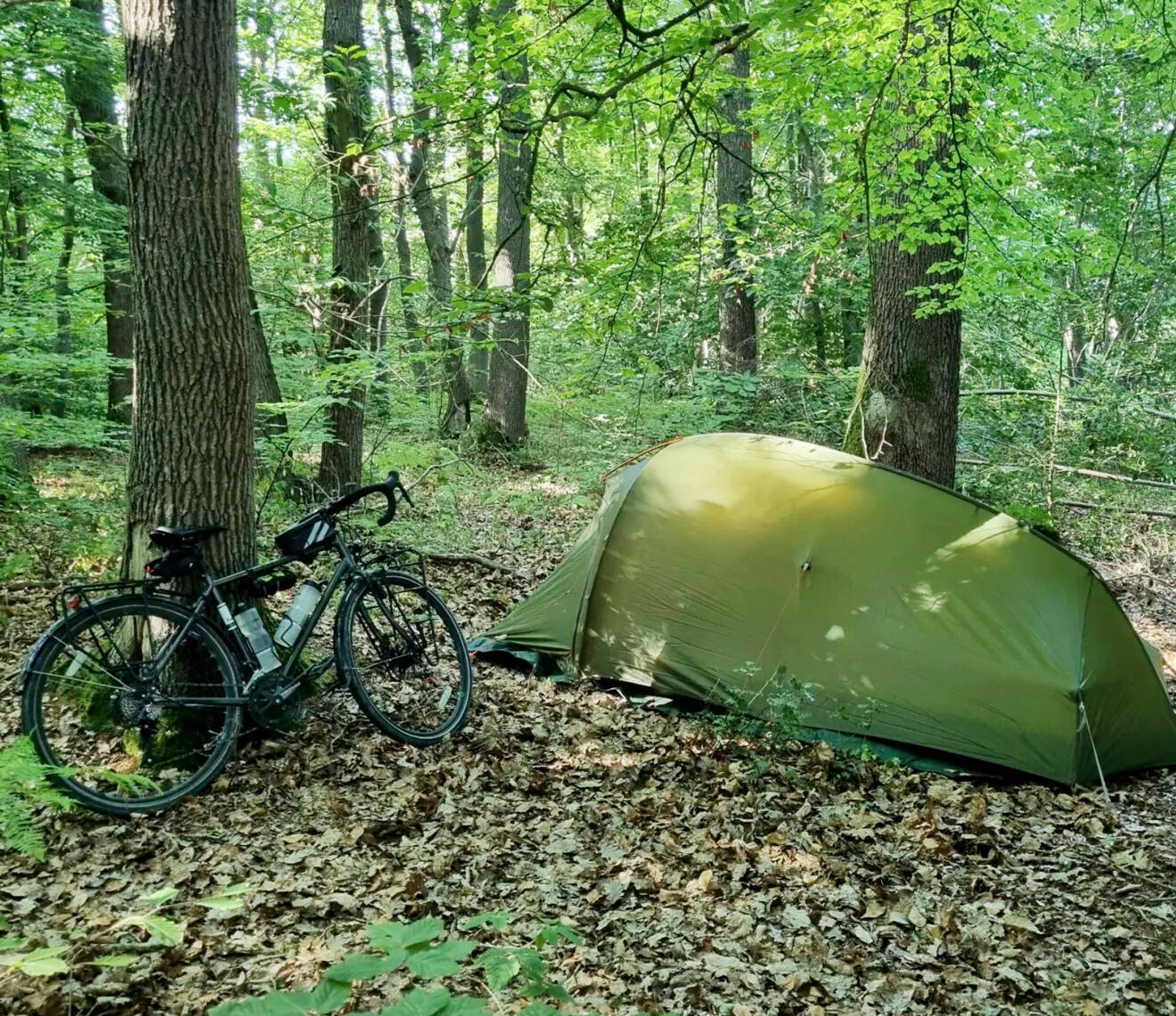 Uppfällt sovtält i skogen med parkerad cykel utanför.