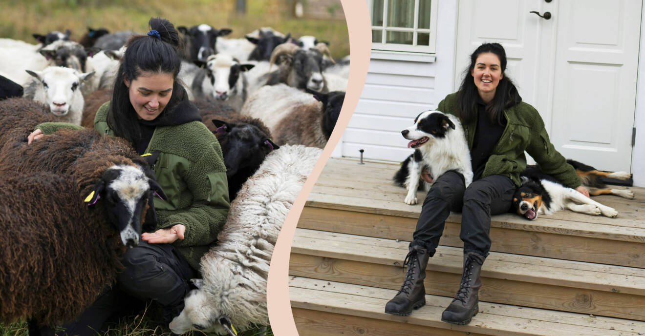 Tvådelad bild med Sofie i grön tröja mitt bland sina får och Sofie på trappan till sitt hus flankerad av sina två hundar.