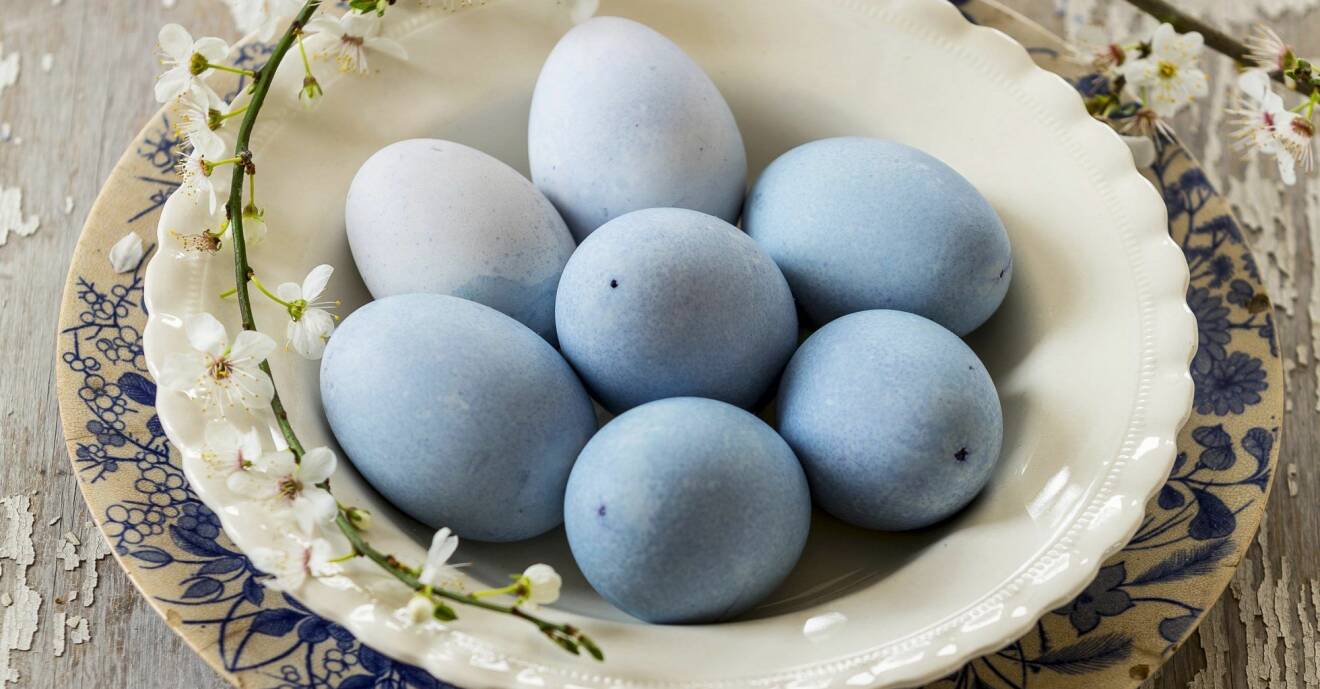 Blåa ägg i skål