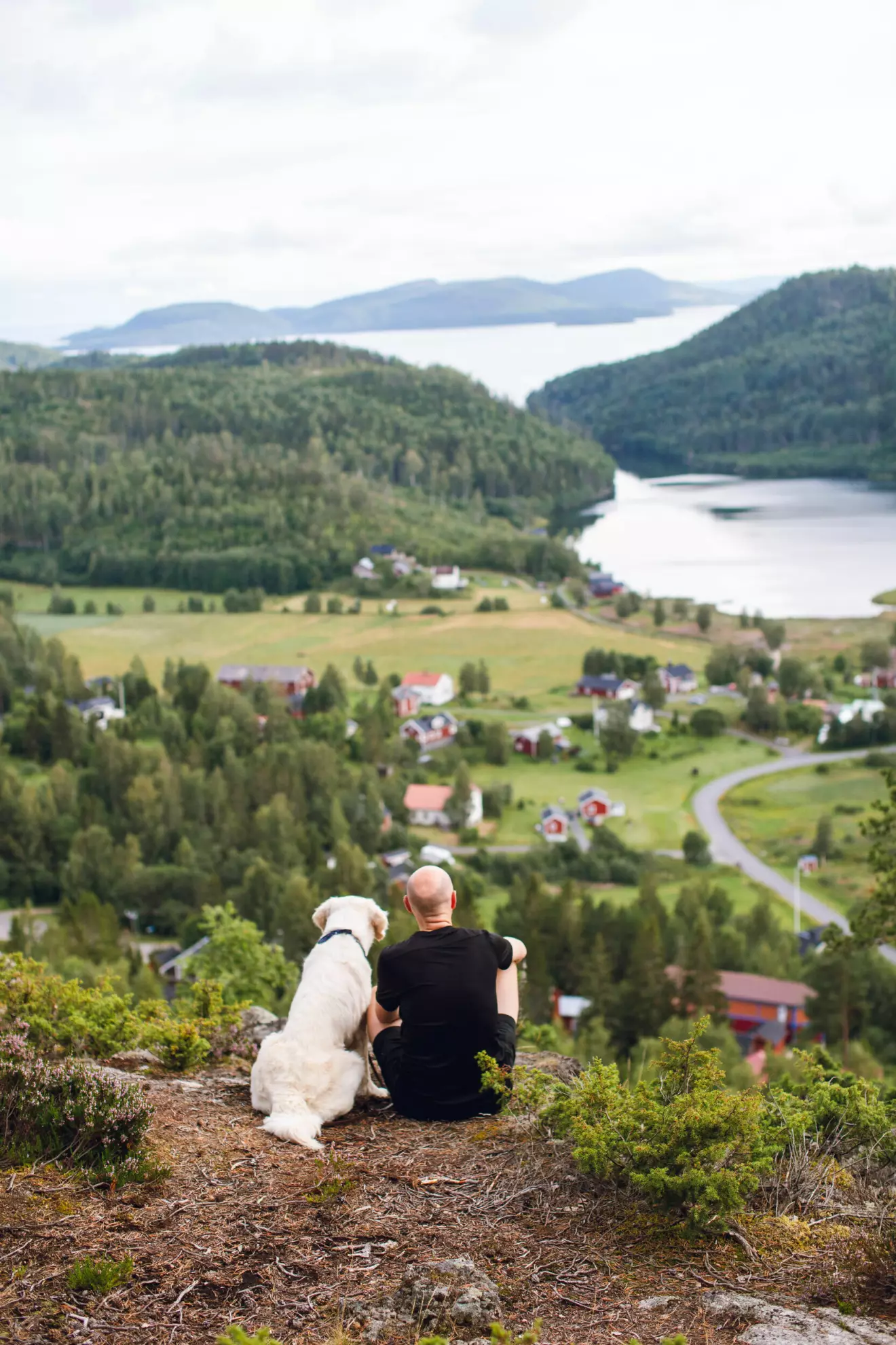 Hund och husse Johan sitter och tittar på utsikten vid Höga kusten.