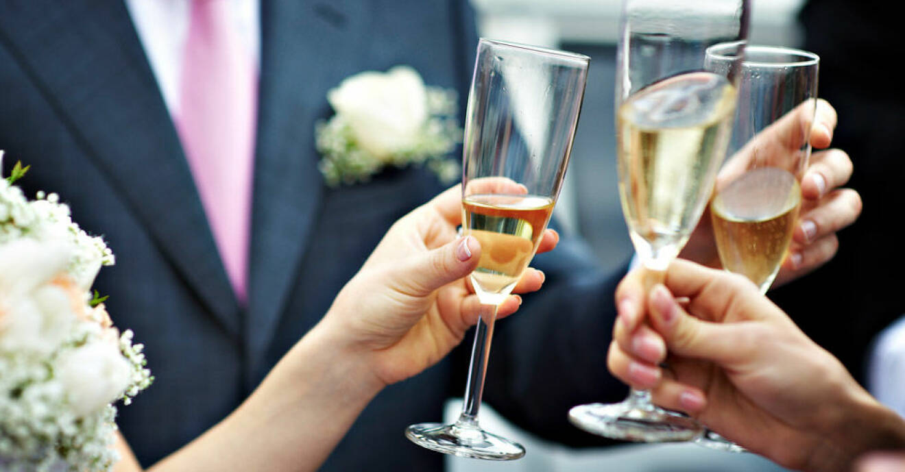 Bröllopsgäster skålar i champagne och undrar om de vågar dricka alkohol medan de tar antibiotika