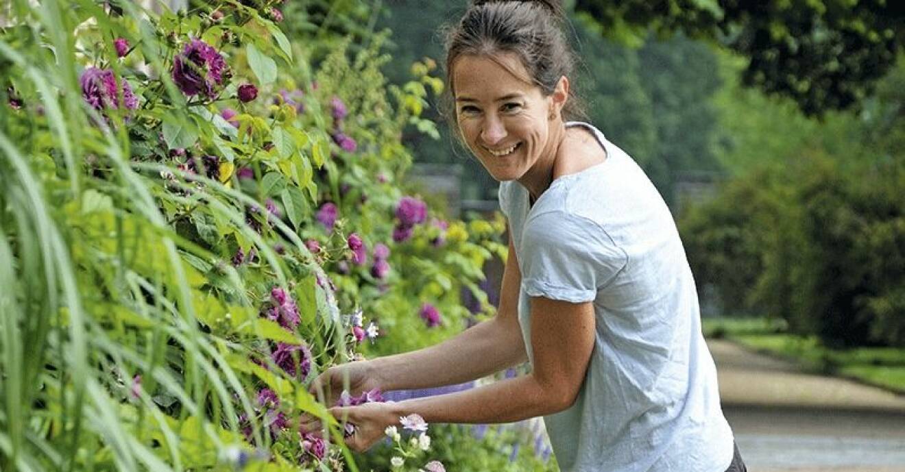 Maria Lagesson Åberg är trädgårdsmästare och ger sina bästa råd för att lyckas med rabatten.