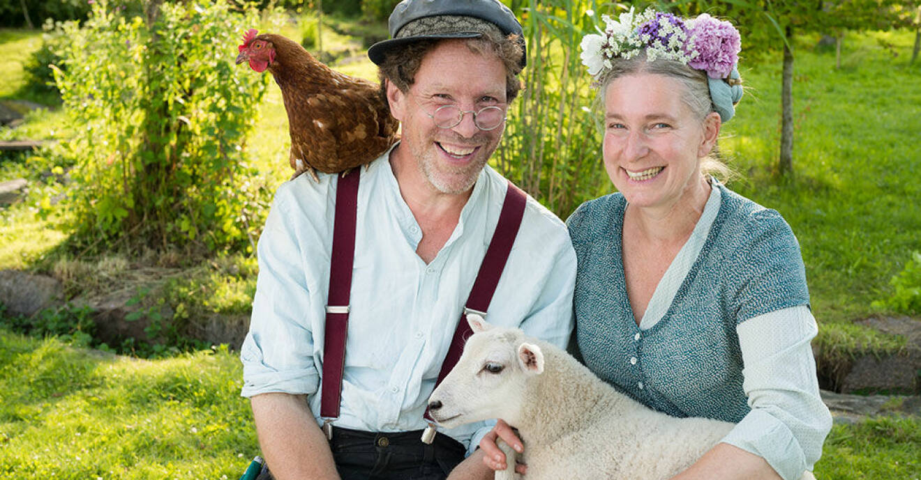 Paret Mandelmanns ihop med en höna och ett får.