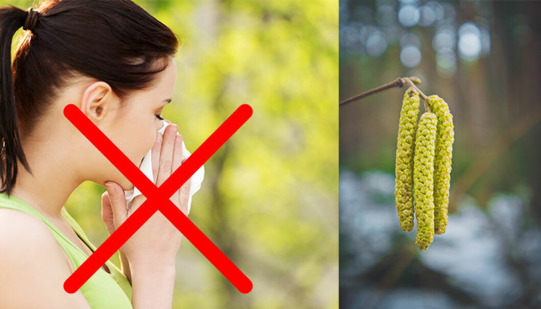 täppt näsa pollen täppt näsa pollen