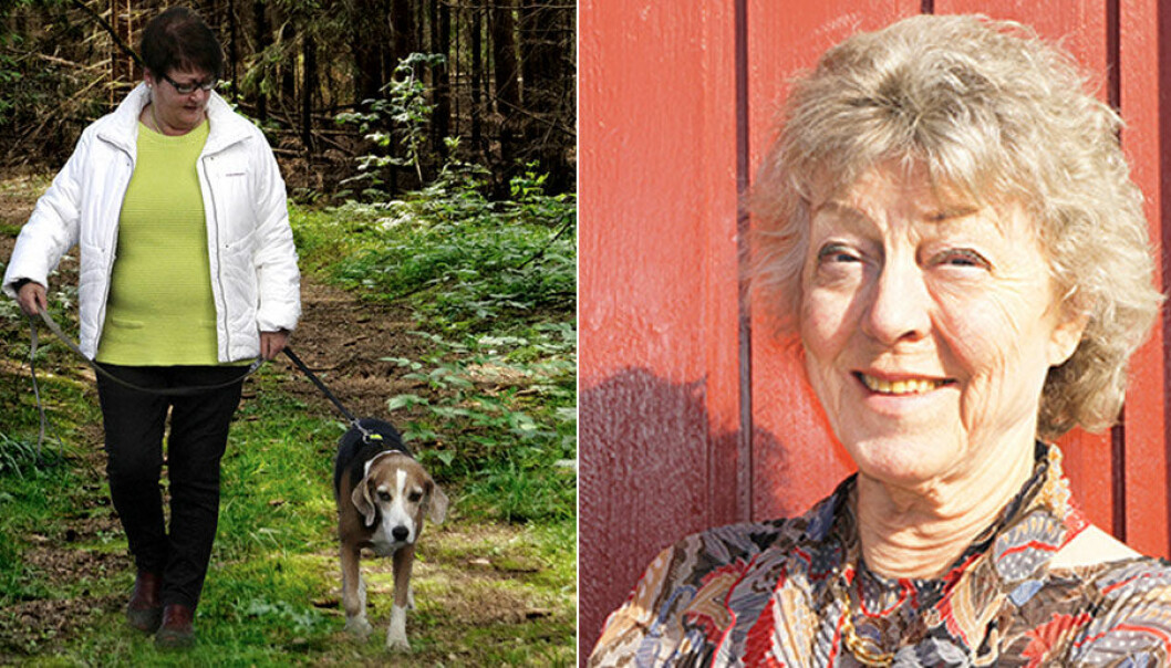 Kissar ofta och mycket diabetes