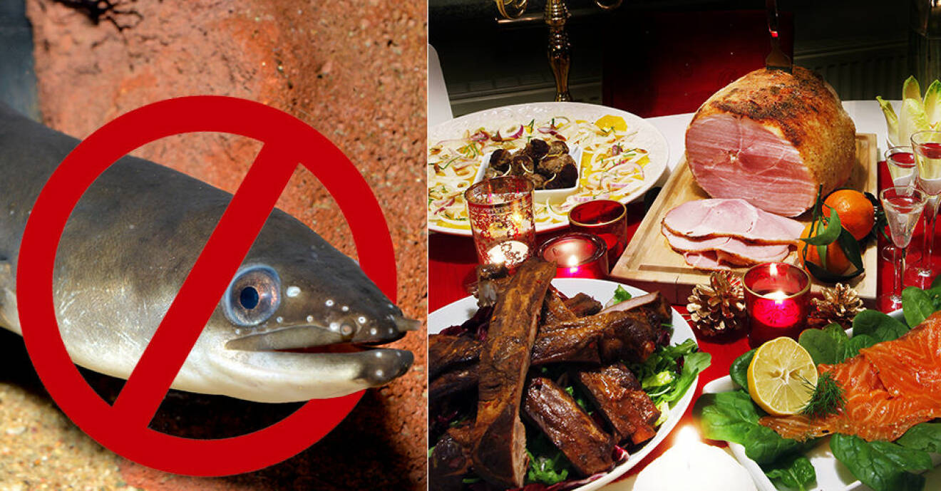 EU-kommissionen stoppar allt fiske av ål under hela vintern.