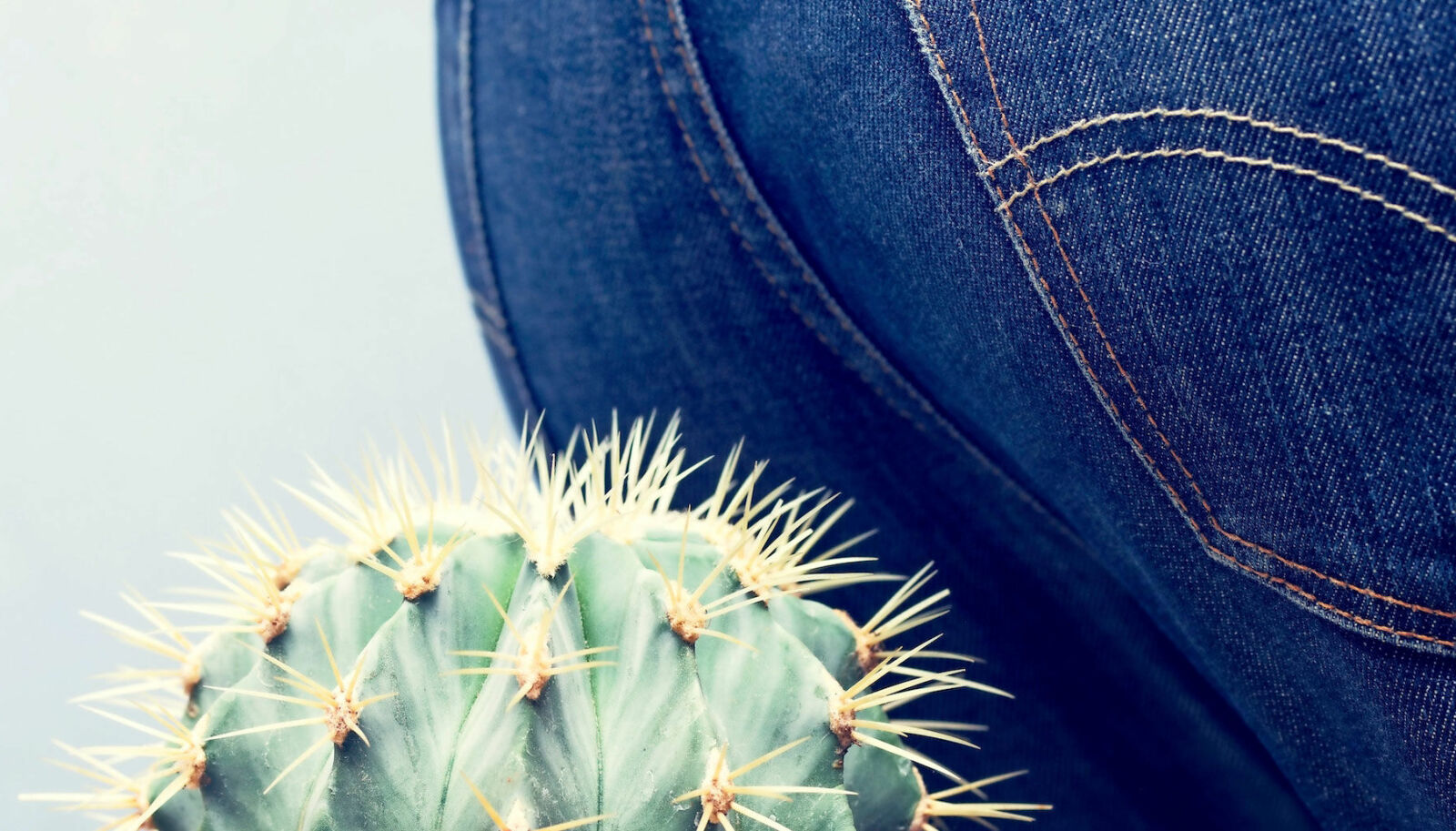 Bli av med springmask – läs läkarens råd | Allas