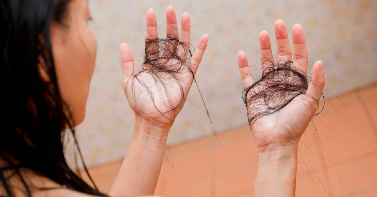 Varför faller håret av? Frisören berättar om ditt håravfall.