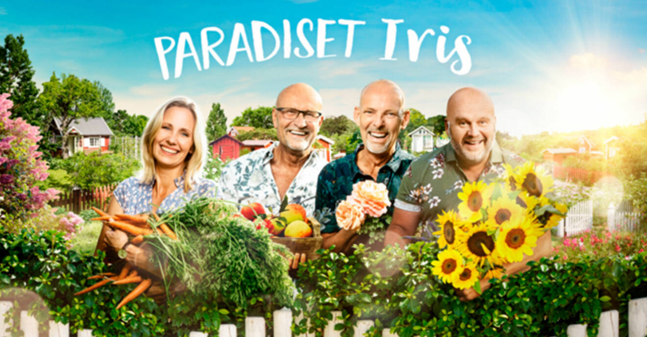 Paradiset Iris visas hösten 2019 på Kanal 5. Här är alla deltagare