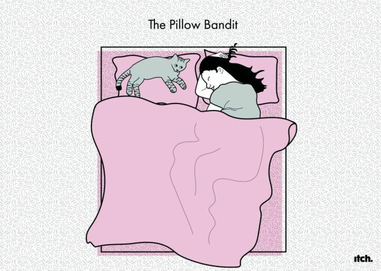 The Pillow Bandit