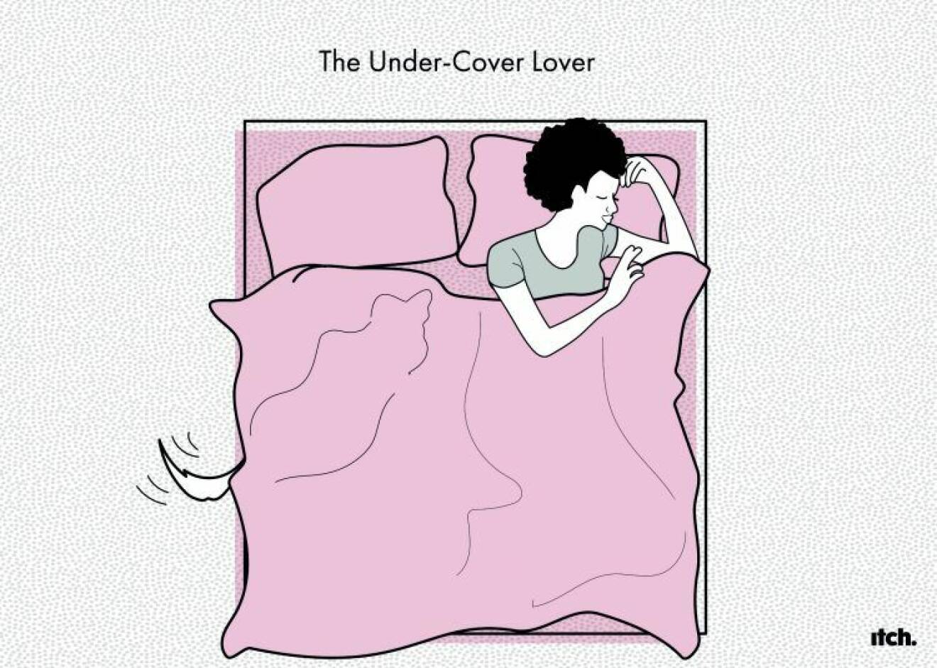 The Under-Cover Lover